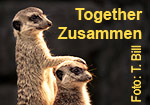 Zusammen